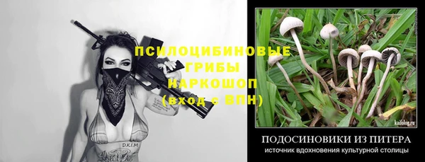 mdpv Алексин
