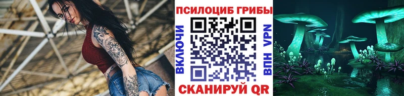 MEGA как зайти  Данков  Галлюциногенные грибы Psilocybe  купить наркотики цена 