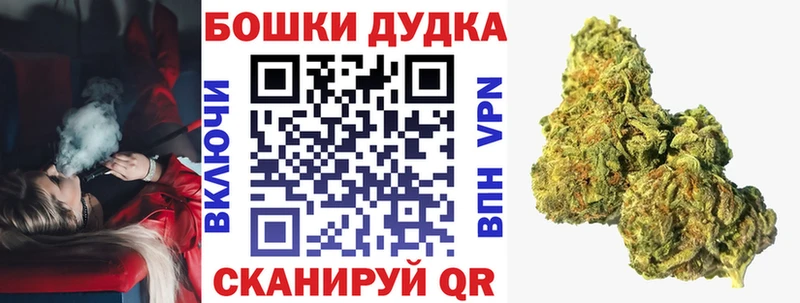 закладка Данков блэк спрут ссылки Конопля сатива
